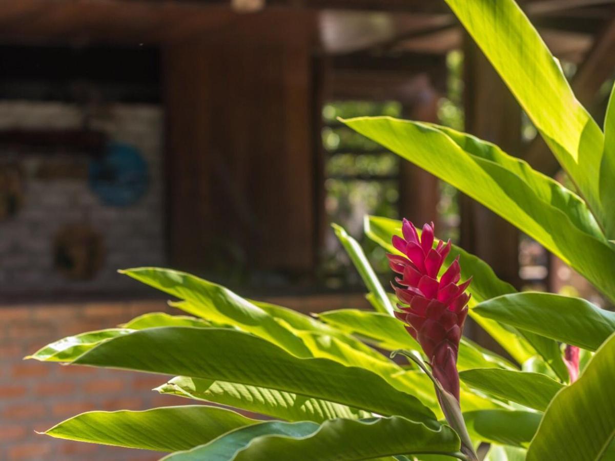 Numar Tubarao Pousada - Barra Grande Barra Grande  Ngoại thất bức ảnh